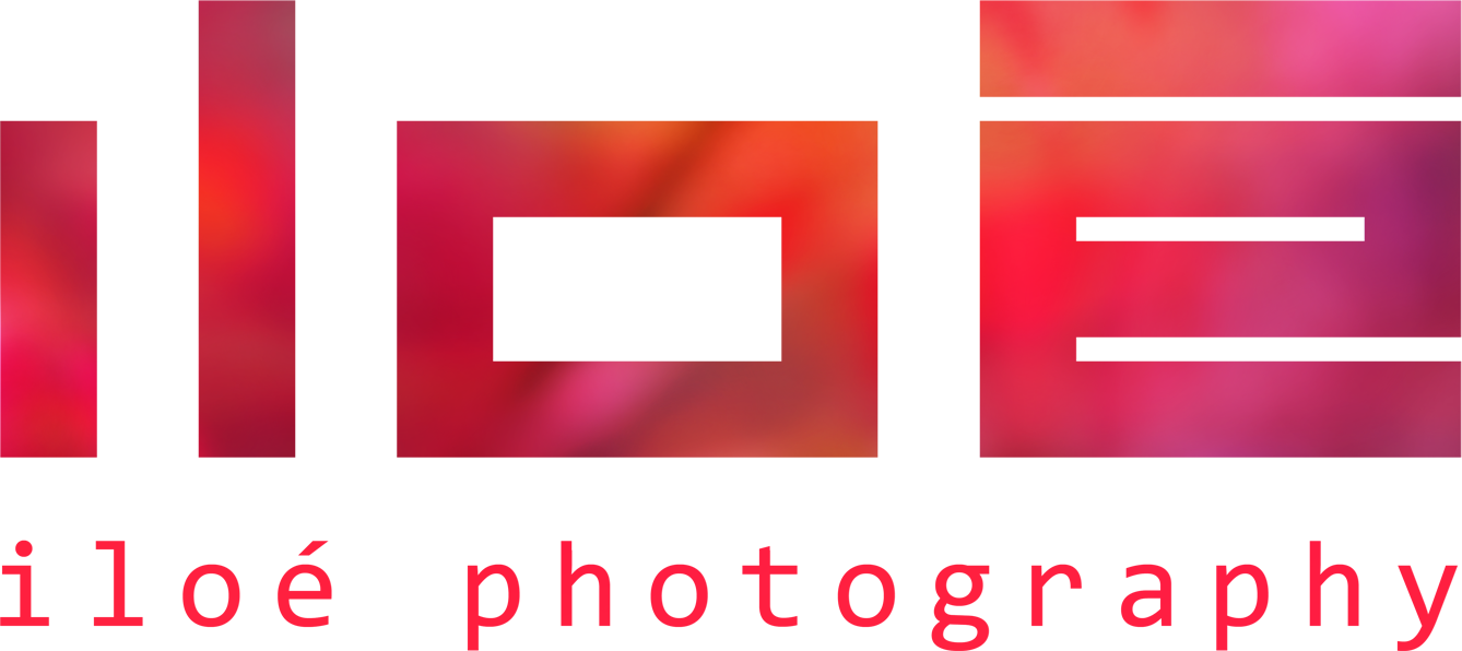 iloe logo
