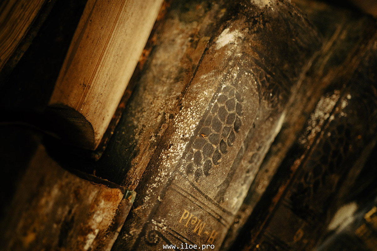 sporia photo 7