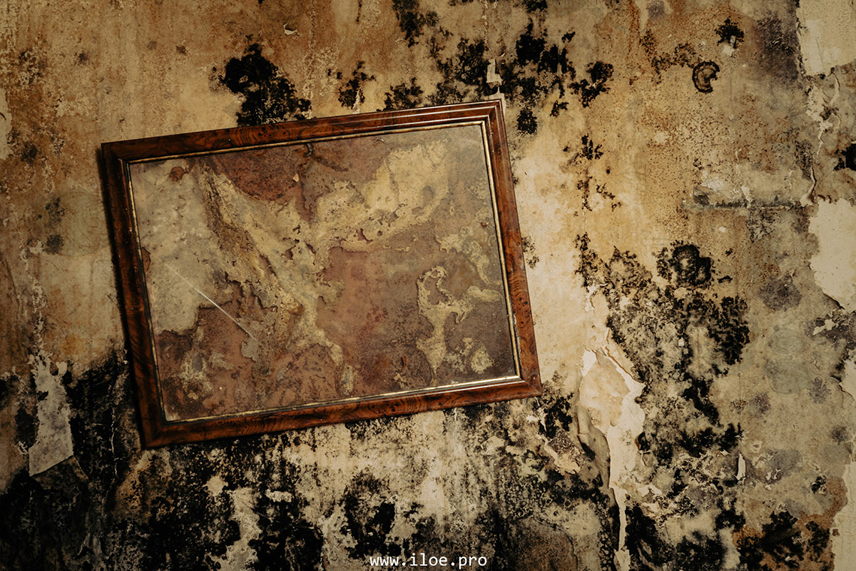 sporia photo 21