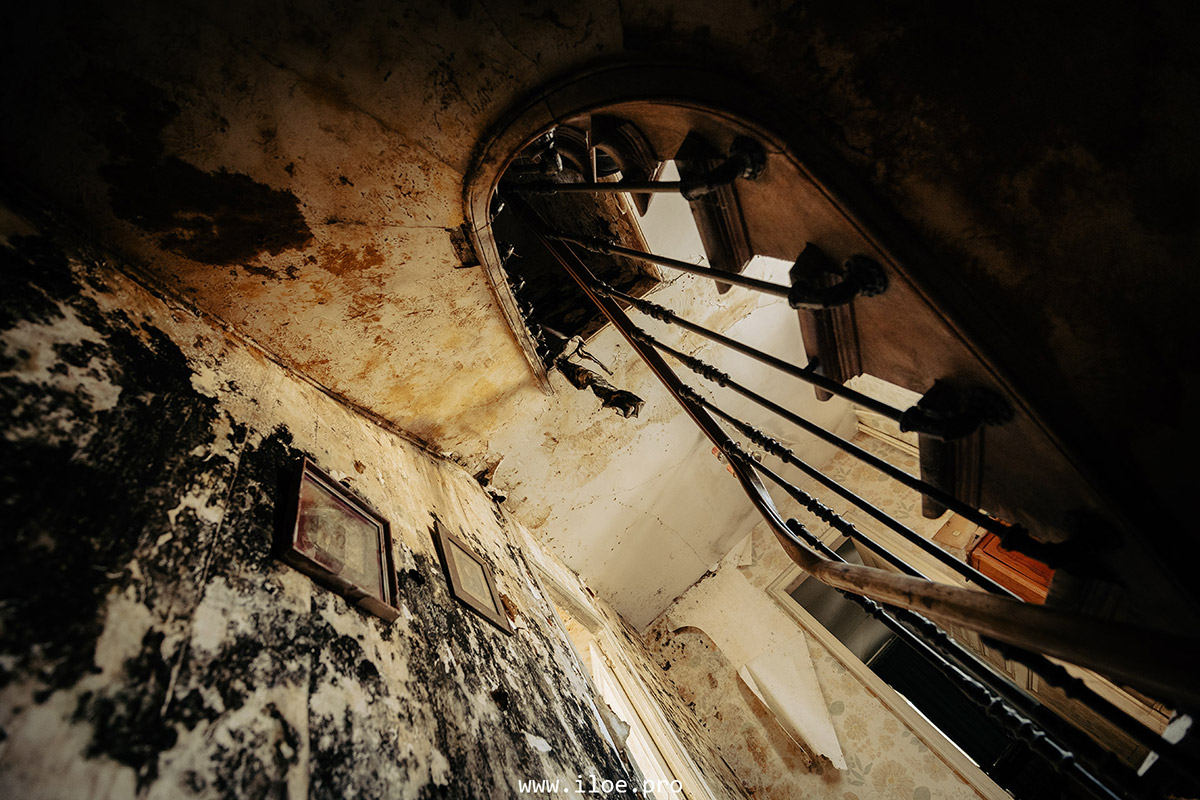 sporia photo 22