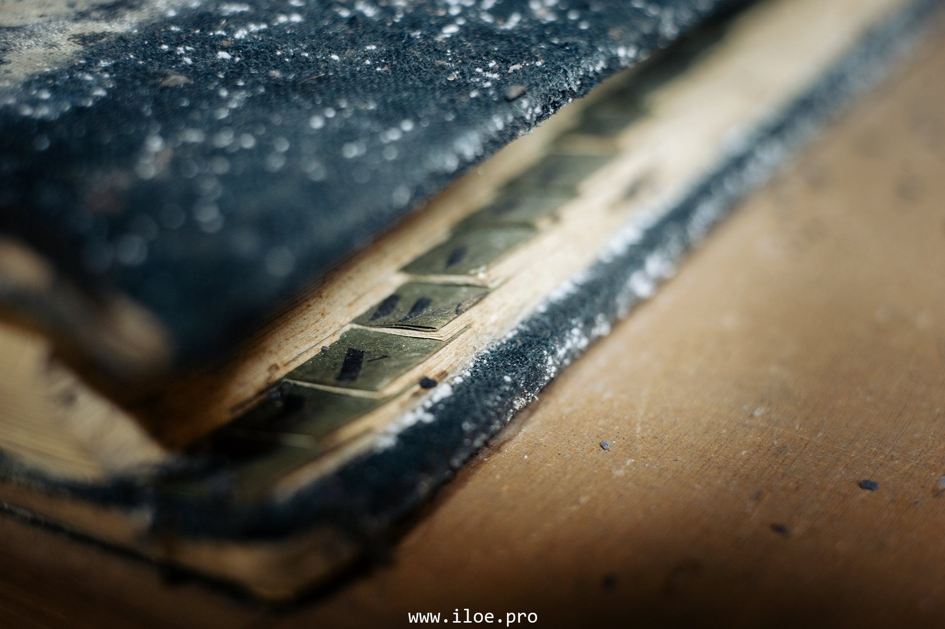 peintres1 photo 28